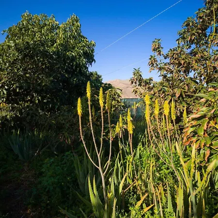 Private Villa, Pool, Bbq, Table Tennis, Beautiful Country house